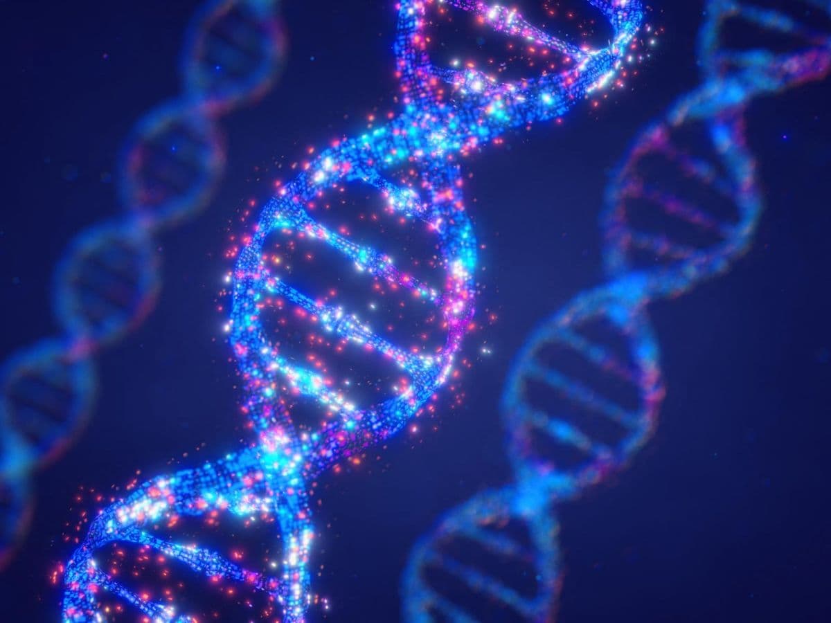Tout est chimie : du vivant aux technologies