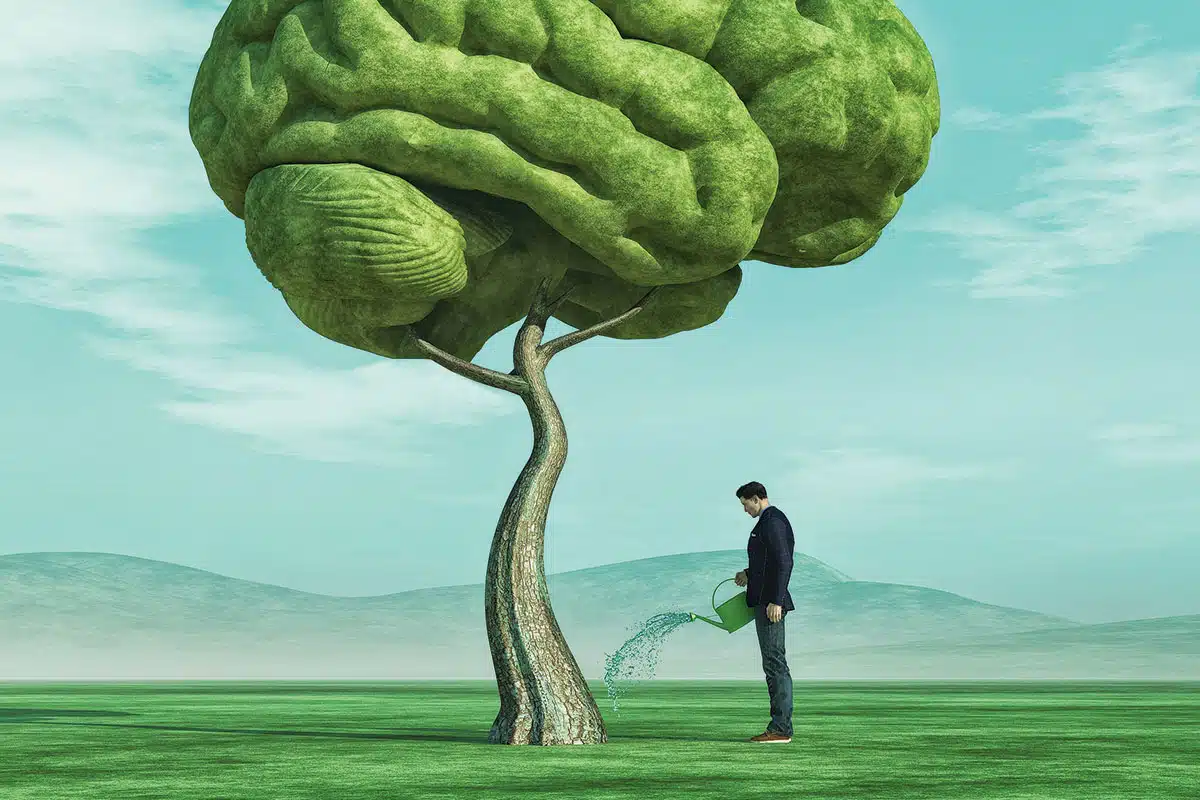 Neurosciences et métacognition