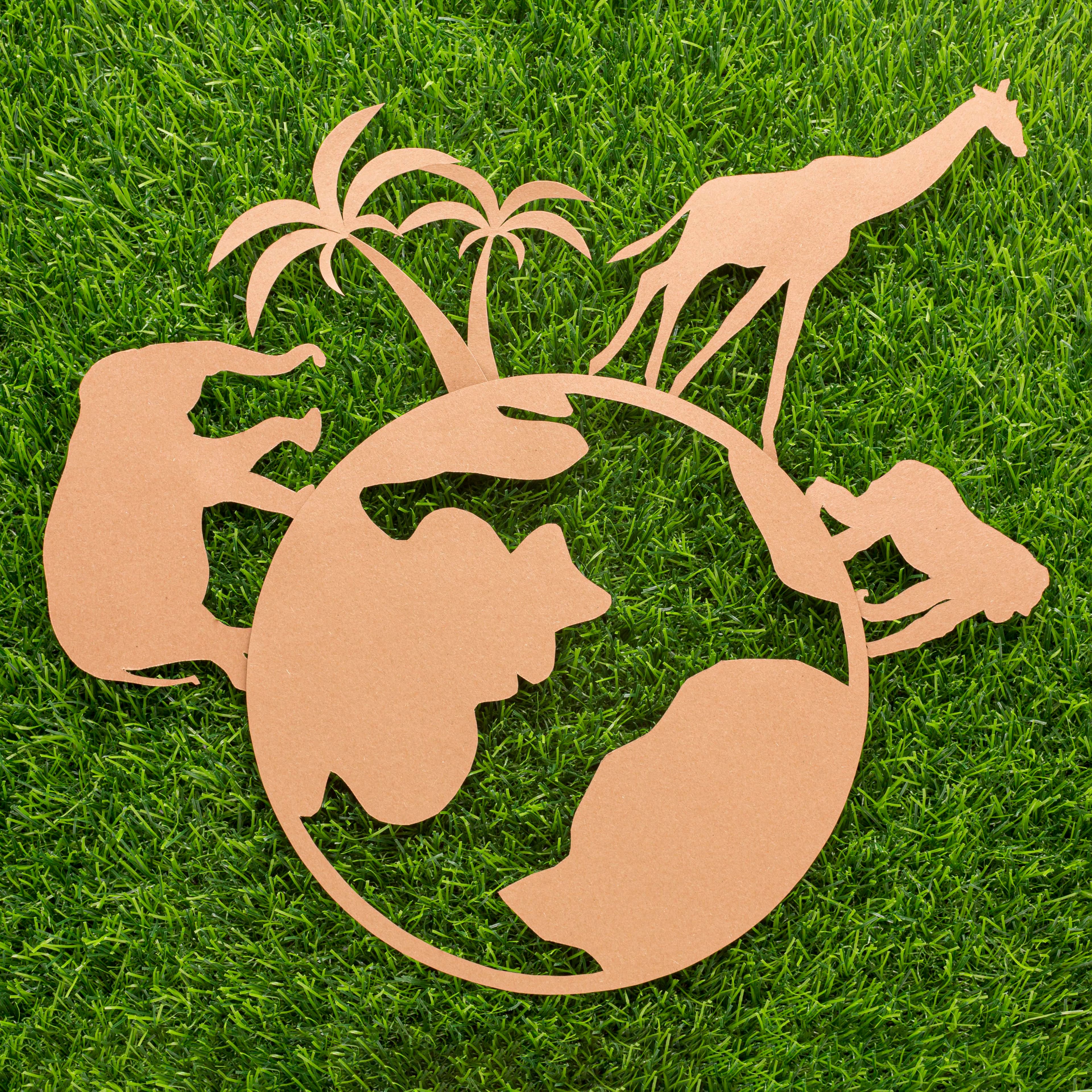 Protection de l'environnement : nous sommes la transition